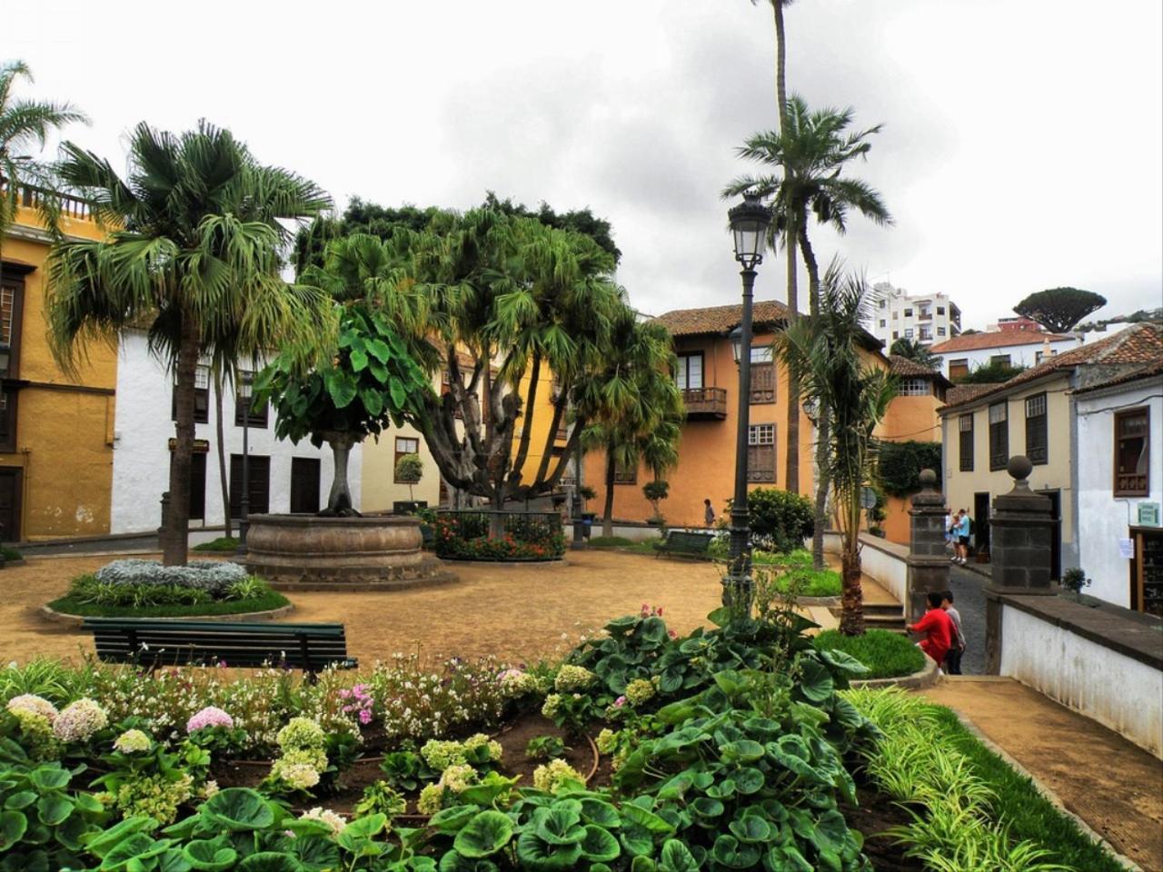 Cozy House Casa Vero Mai Icod De Los Vinos Exterior photo
